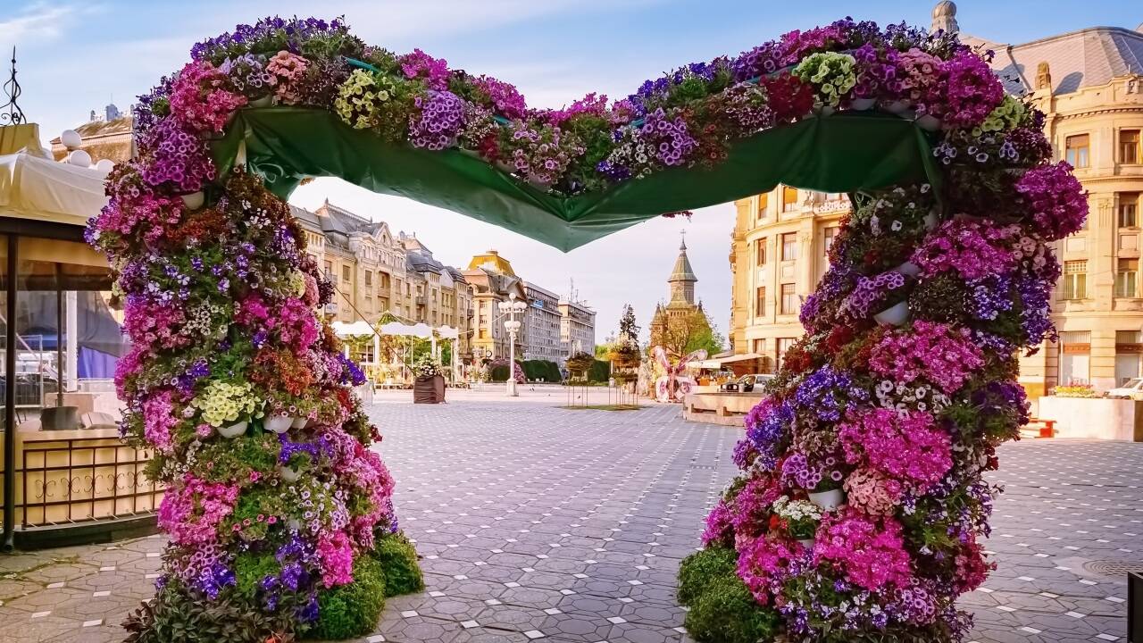Blumenschmuck auf dem Freiheitsplatz in Timisoaras schöner Altstadt. 