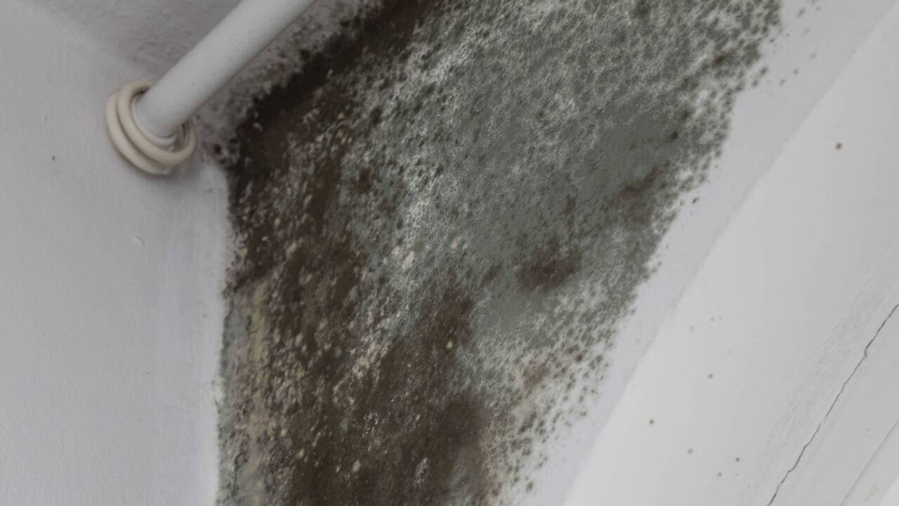 Blick in die Wohnung von Alexander Menschik.  