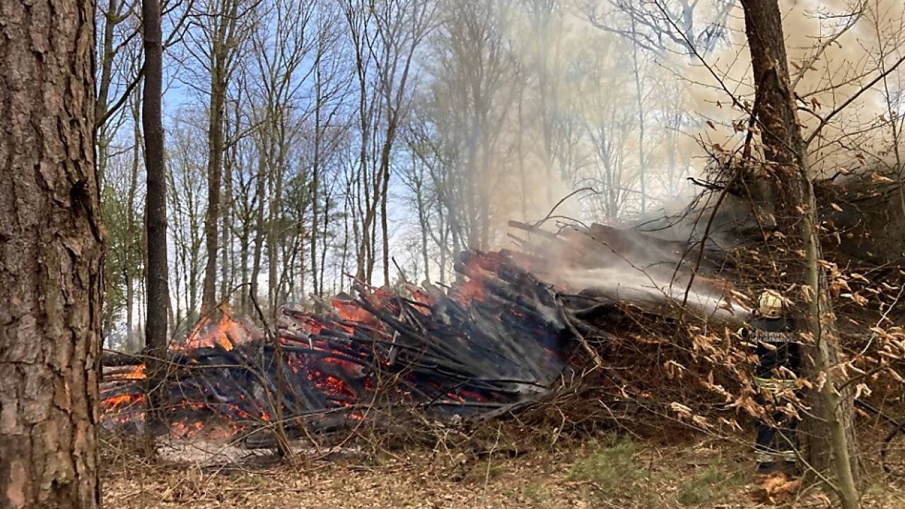 Das Feuer drohte auf den Wald überzugreifen Das Feuer drohte auf den Wald überzugreifen