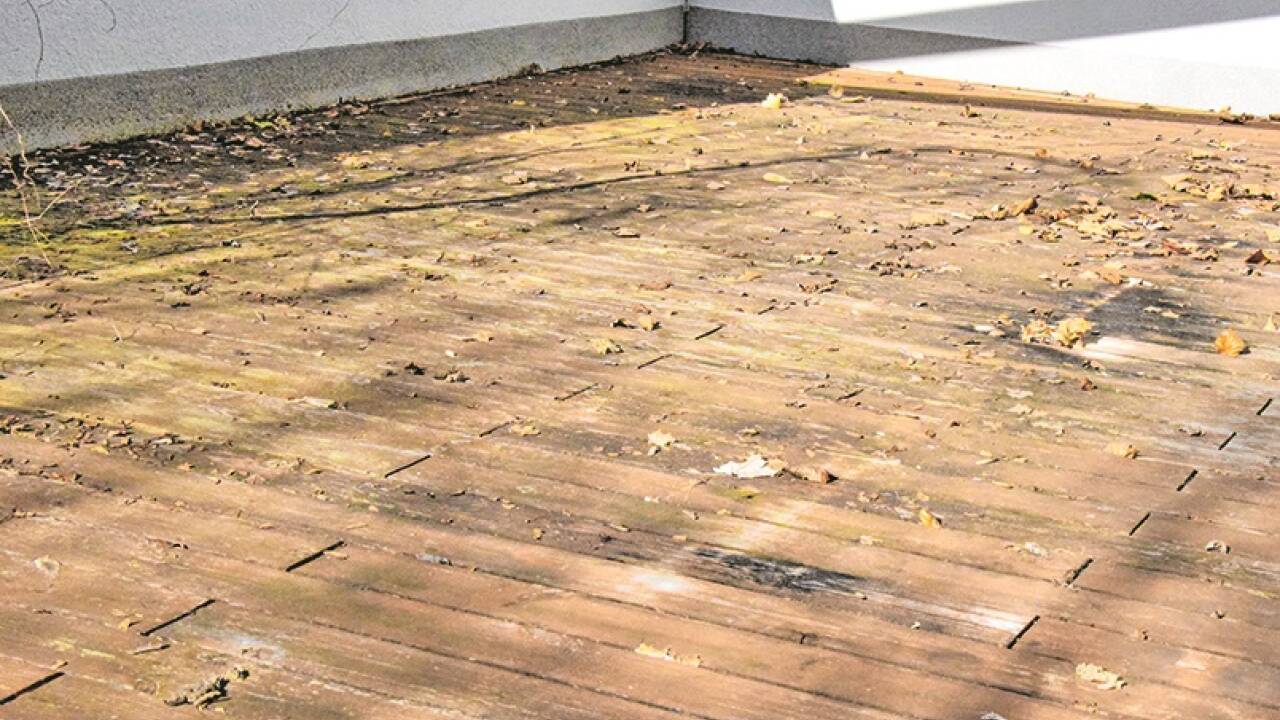 Vorher ziemlich unansehnlich: Terrassenbretter vor der Reinigung.  