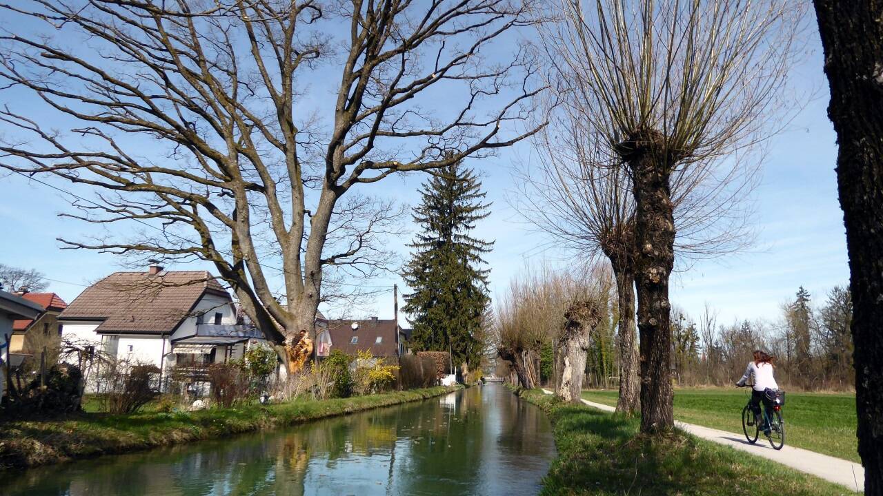 Der 12 Kilometer lange Almkanal bringt Lebensenergie in die Stadtteile. 