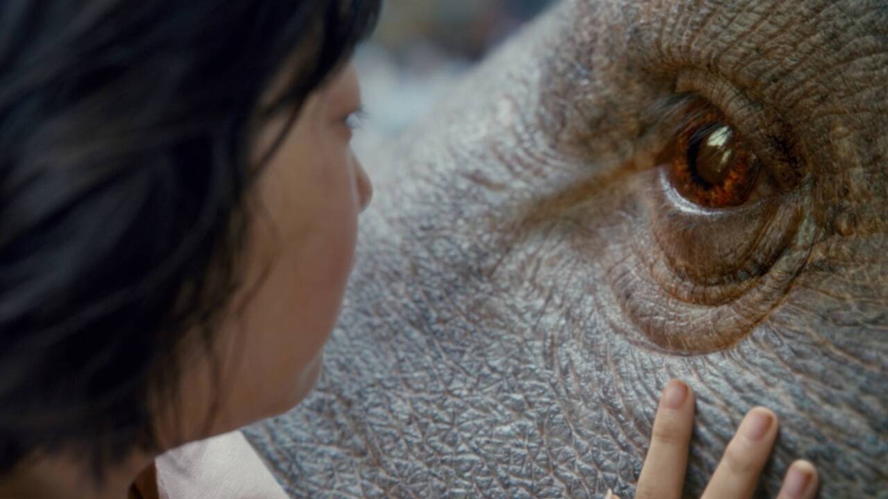 Impressionen aus „OKJA“. 