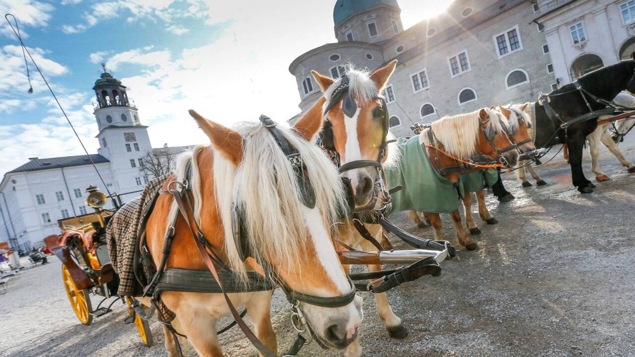 Das Landesverwaltungsgericht prüft, ob die zivilrechtliche Vergabe der Fiakerstandplätze am Residenzplatz rechtens ist.  
