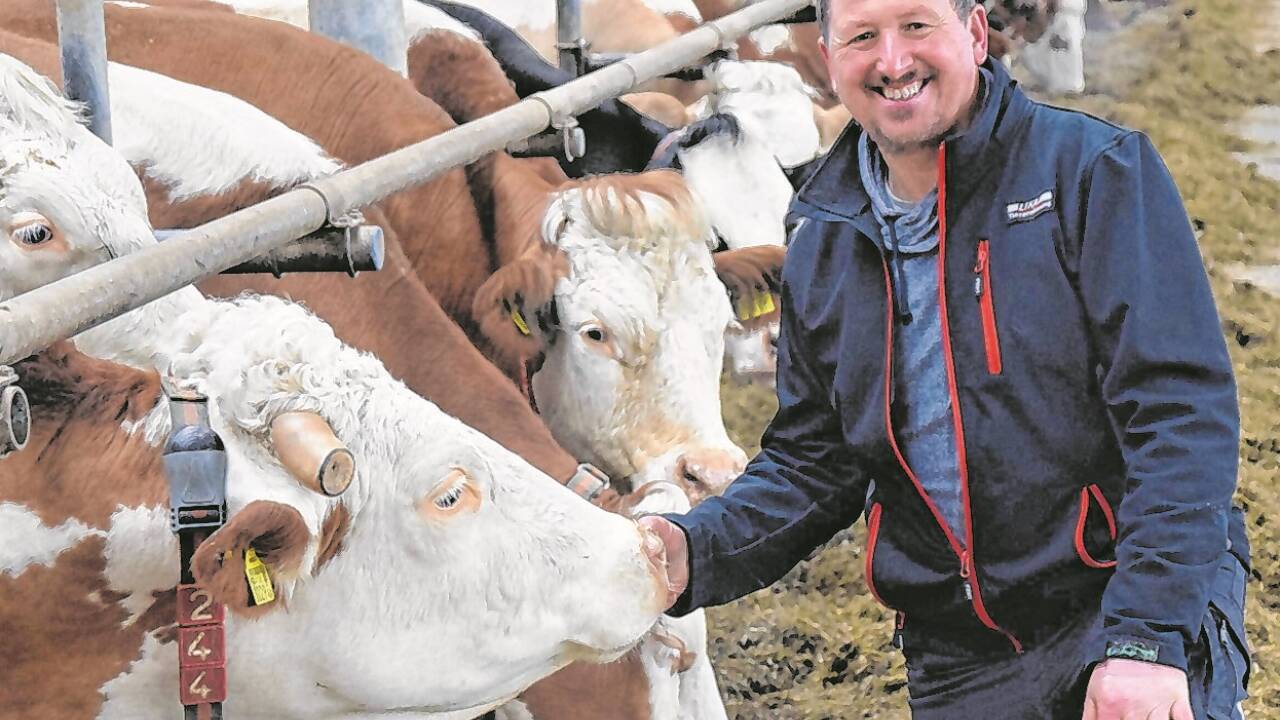 Johann Konrad in seiner Milchkuh-Welt in Pfaffing, Oberösterreich. Bilder: Birgit Egger  