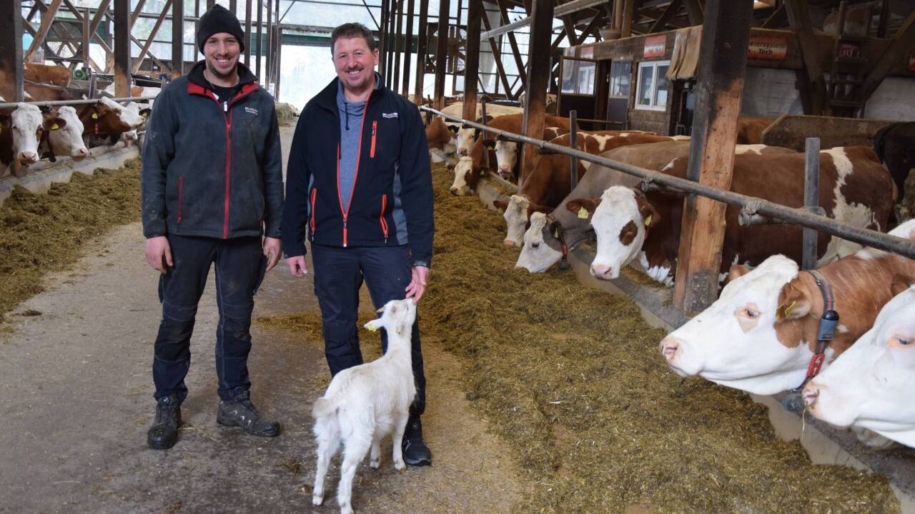 Johann Konrad in seiner Milchkuh-Welt in Pfaffing, Oberösterreich. Bilder: Birgit Egger  