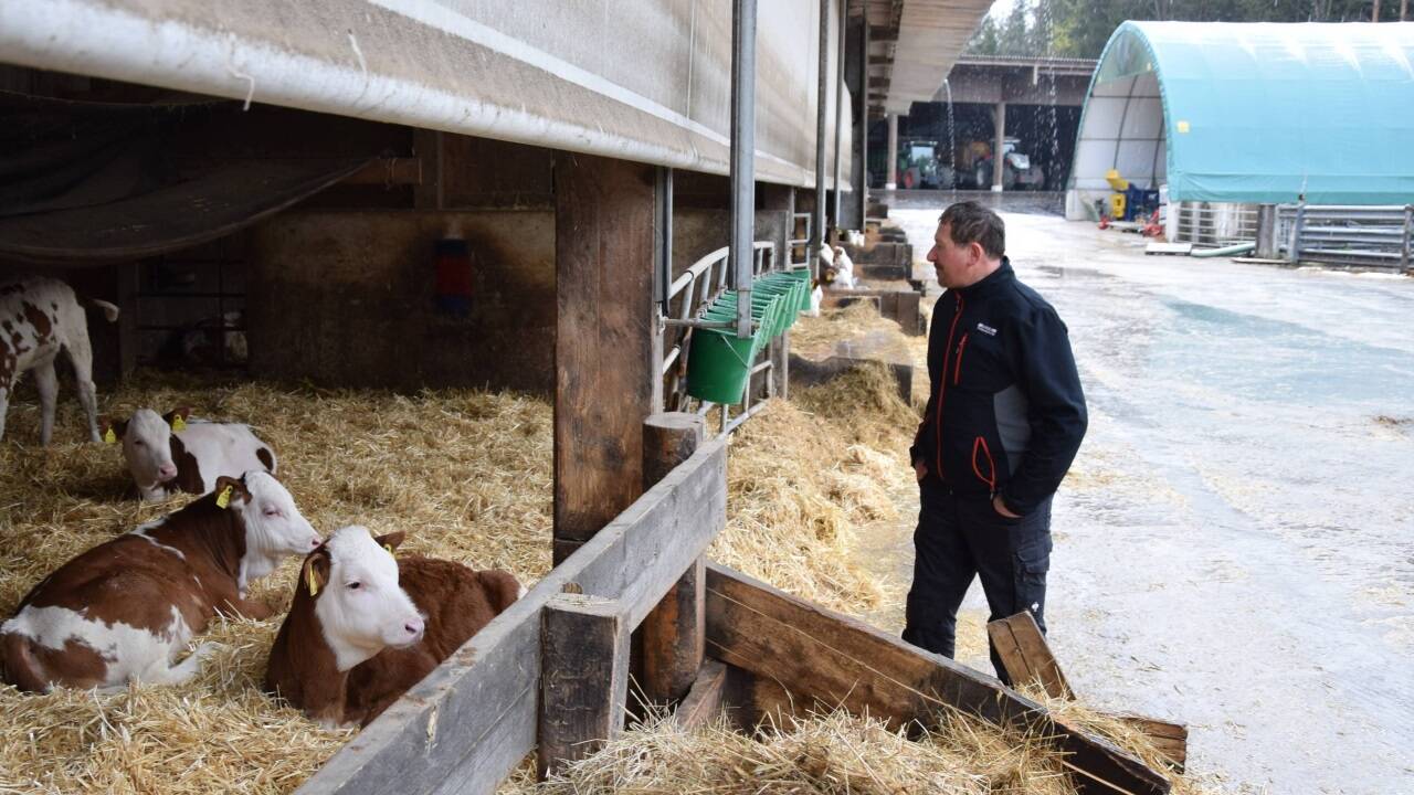 Johann Konrad in seiner Milchkuh-Welt in Pfaffing, Oberösterreich. Bilder: Birgit Egger  