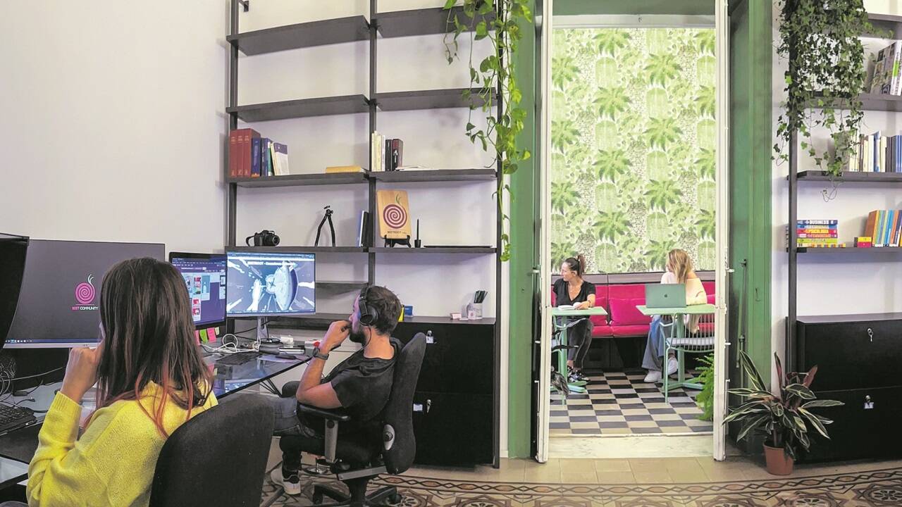 „Beet Community “ in Palermo: Gemeinsames Leben und Arbeiten in einem kreativen Umfeld.  