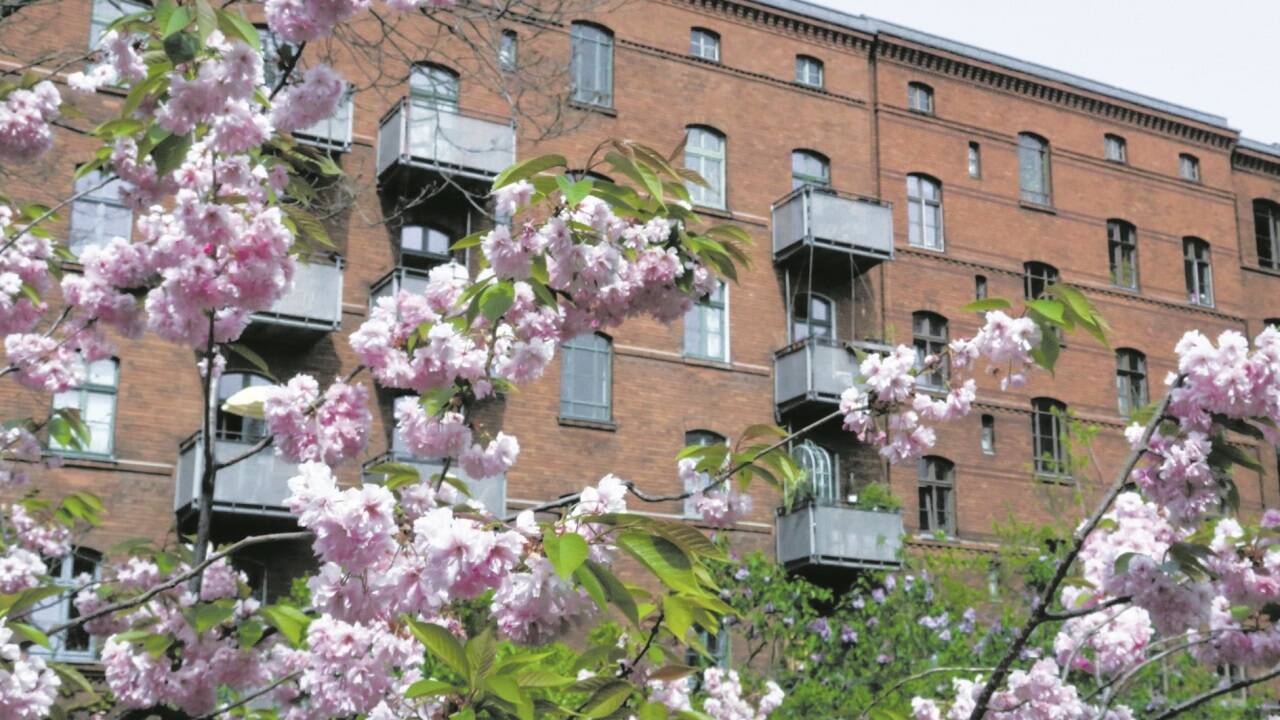 Genossenschaftsprojekt in Berlin: Erfolgreiche Revitalisierung Schönhauser Allee .  