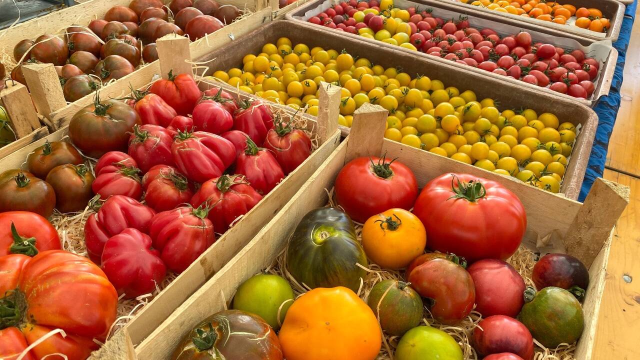 Bei Tomaten gibt es eine gewaltige Vielfalt. Es soll 20.000 bis 30.000 Sorten geben.  Bei Tomaten gibt es eine gewaltige Vielfalt. Es soll 20.000 bis 30.000 Sorten geben.
