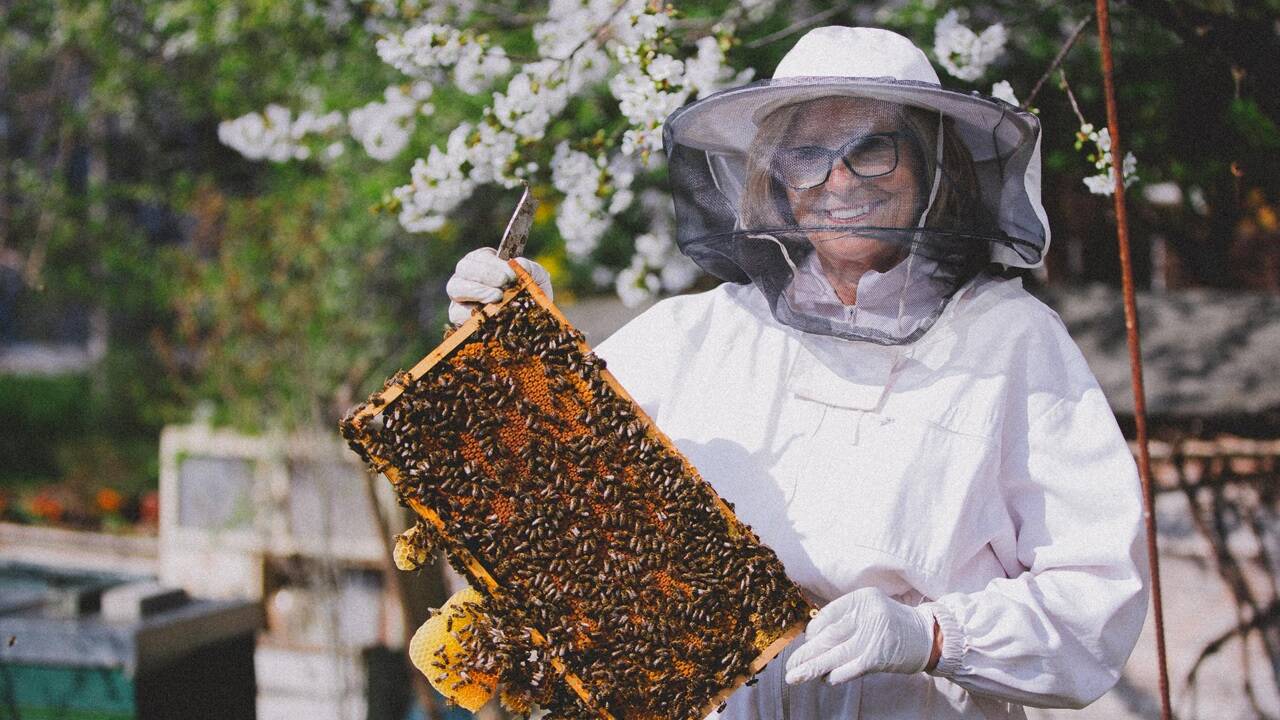 Karoline Greimel weiß, was sie tut – sie liebt das pure Leben, das die Bienen mit sich bringen. 