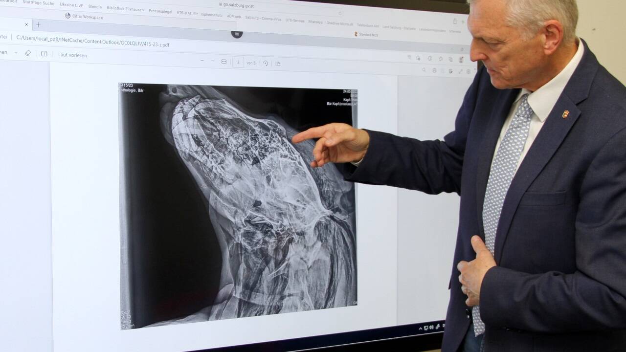 Landesveterinärdirektor Josef Schöchl mit den Röntgenaufnahmen des zertrümmerten Bärenschädels. 