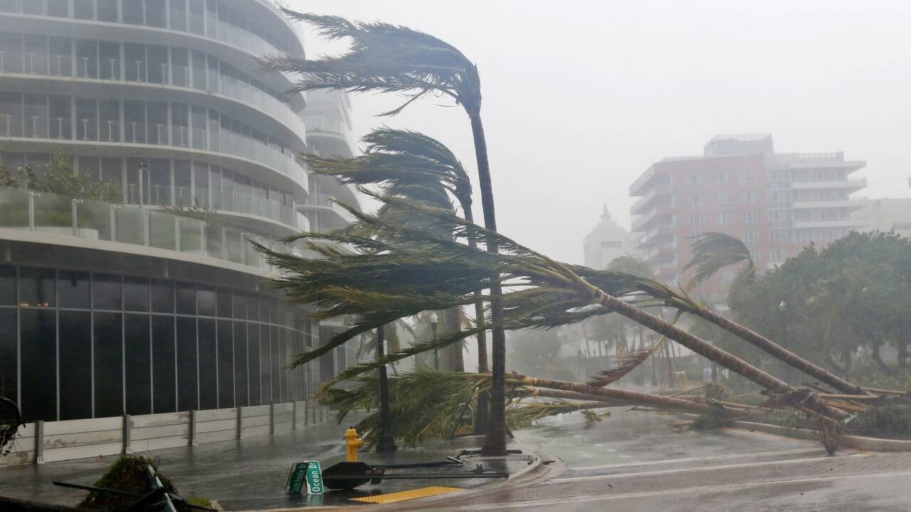 Naturkatastrophen – hier ein Hurrikan in Miami - schwappen im neue Roman von T.C. Boyle mitten ins Leben. 
