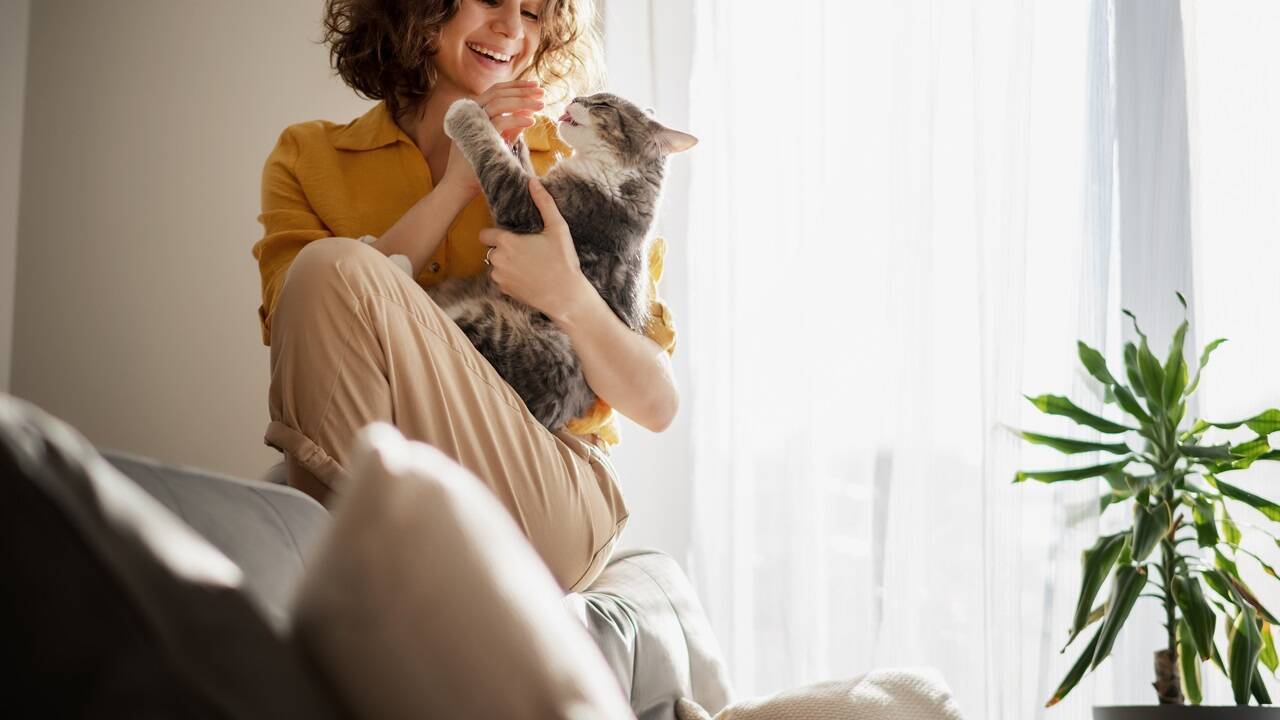 SN-Card-Vorteil auf private Immobilienanzeigen.  