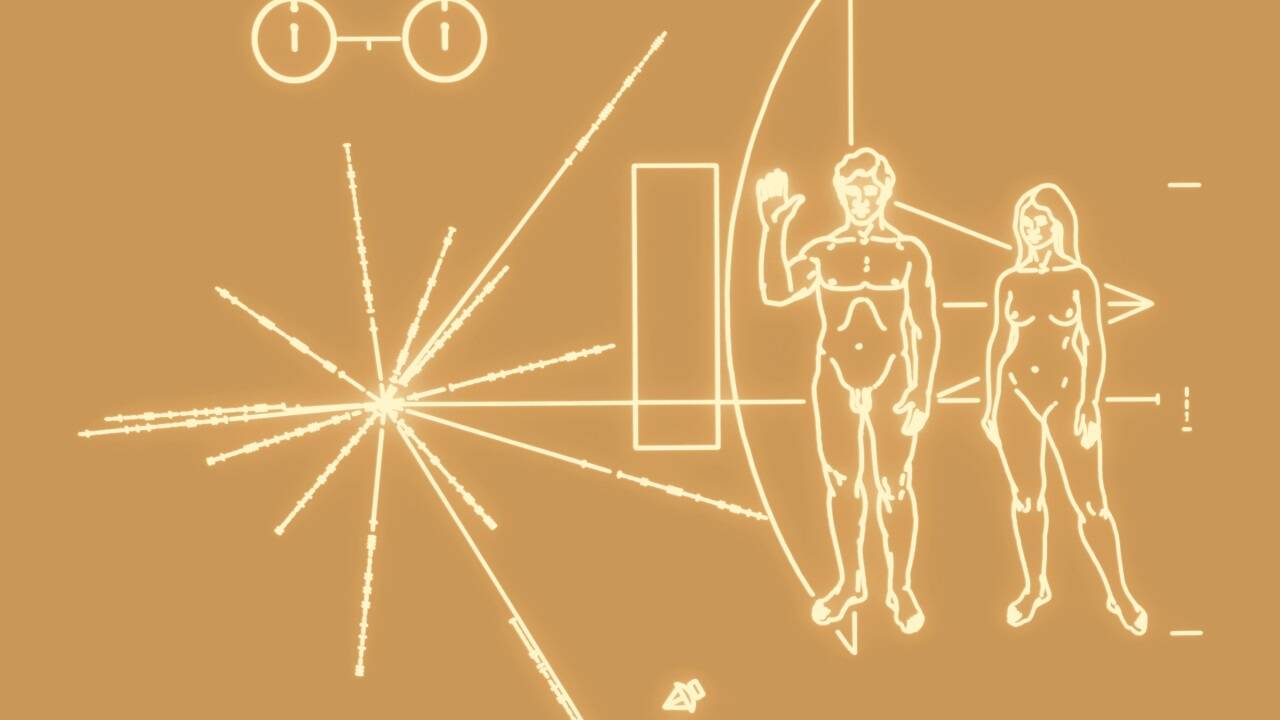 Für den Fall, dass „Pioneer 10“ auf ihrer Reise „intelligentem Leben“ begegnen sollte, ist auf der Sonde eine Aluminium-Plakette angebracht. Darauf sind unter anderem Abbildungen von einem Mann, einer Frau und unserem Sonnensystem. 