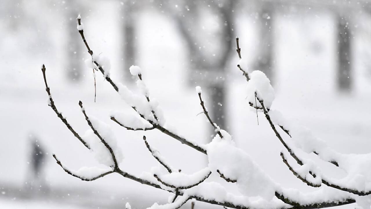 Nur der April war kühler und brachte Schnee  Nur der April war kühler und brachte Schnee