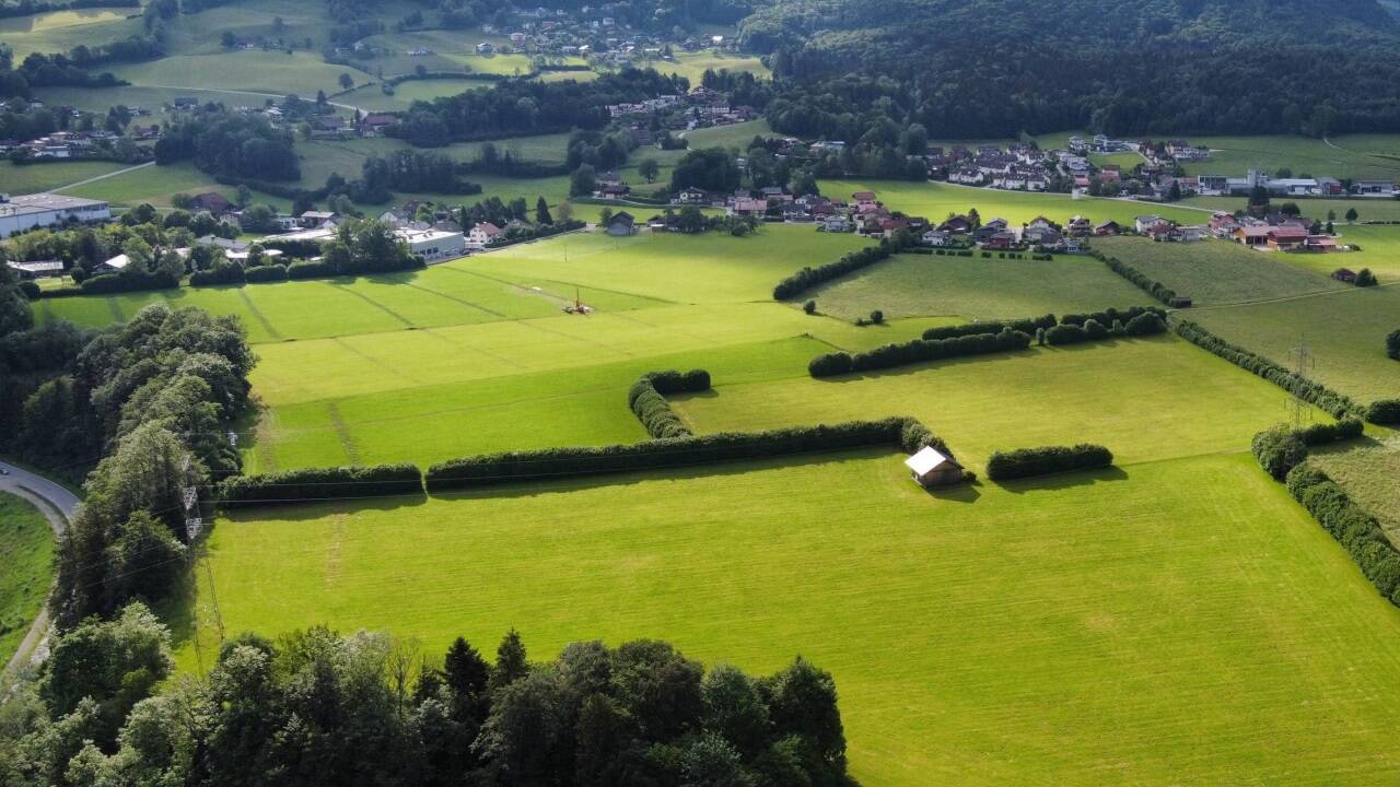 Links sichtbar: Die Wiestal Landesstraße. Der Übergangsbereich zwischen der Waldböschung und den Feldern ist laut Biologen der hochwertigste Lebensraum. 