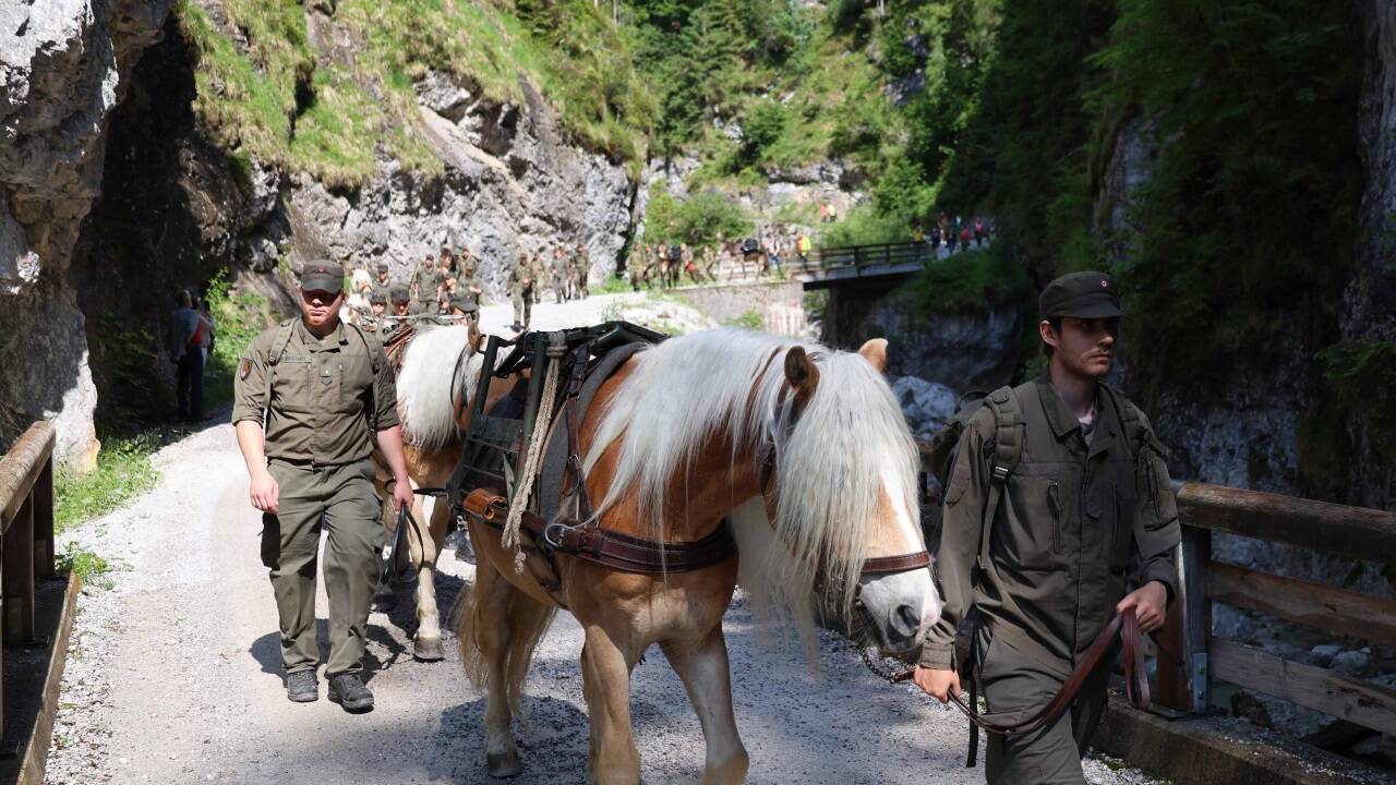 Der Wettergott spielte am Freitag mit: Soldaten und ihre Haflinger auf dem Marsch.  