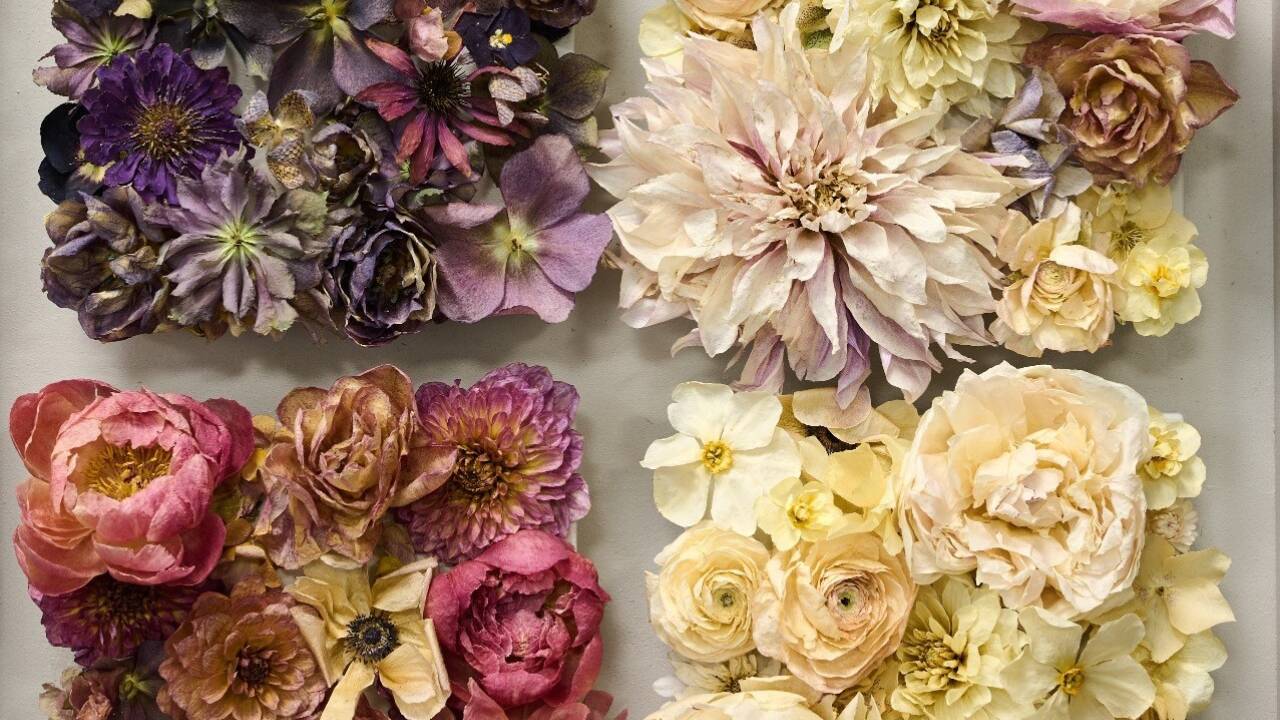 Elena Hofmann setzt auf Wildblumen, Trockenblumen und Gräser statt auf Tulpen aus Holland und Rosen aus Afrika. 