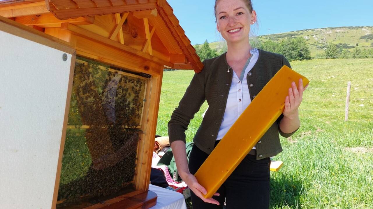 Eva-Maria Kremser vom Imkerhof Glashütte mit einem Wachsblock, links ein Schaustock mit Bienen. 