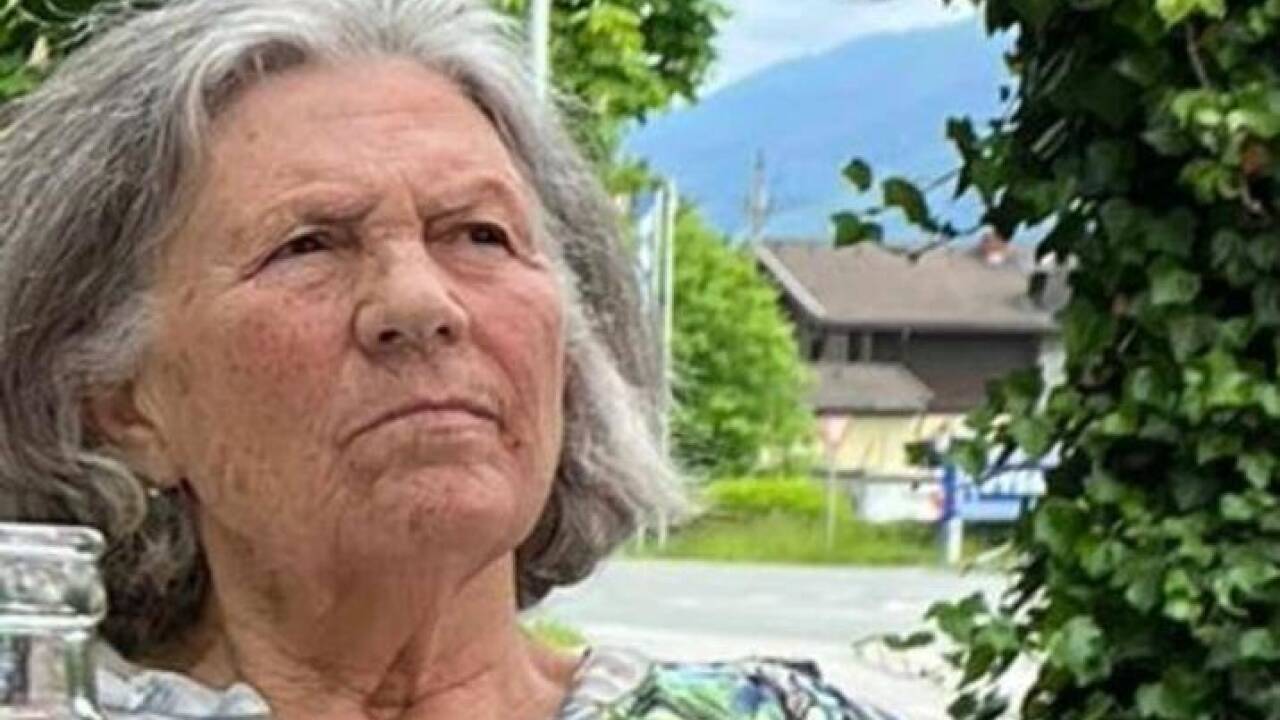 Die abgängige Frau. Die abgängige Frau.