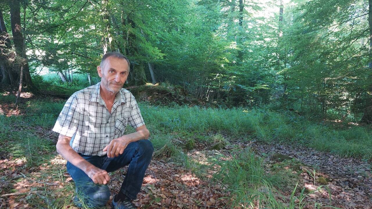 Matthias Nussdorfer in seinem Wald am Voggenberg, wo mehrere Krater zu erkennen sind. Die meisten sind bereits zugeschüttet oder verwachsen.  