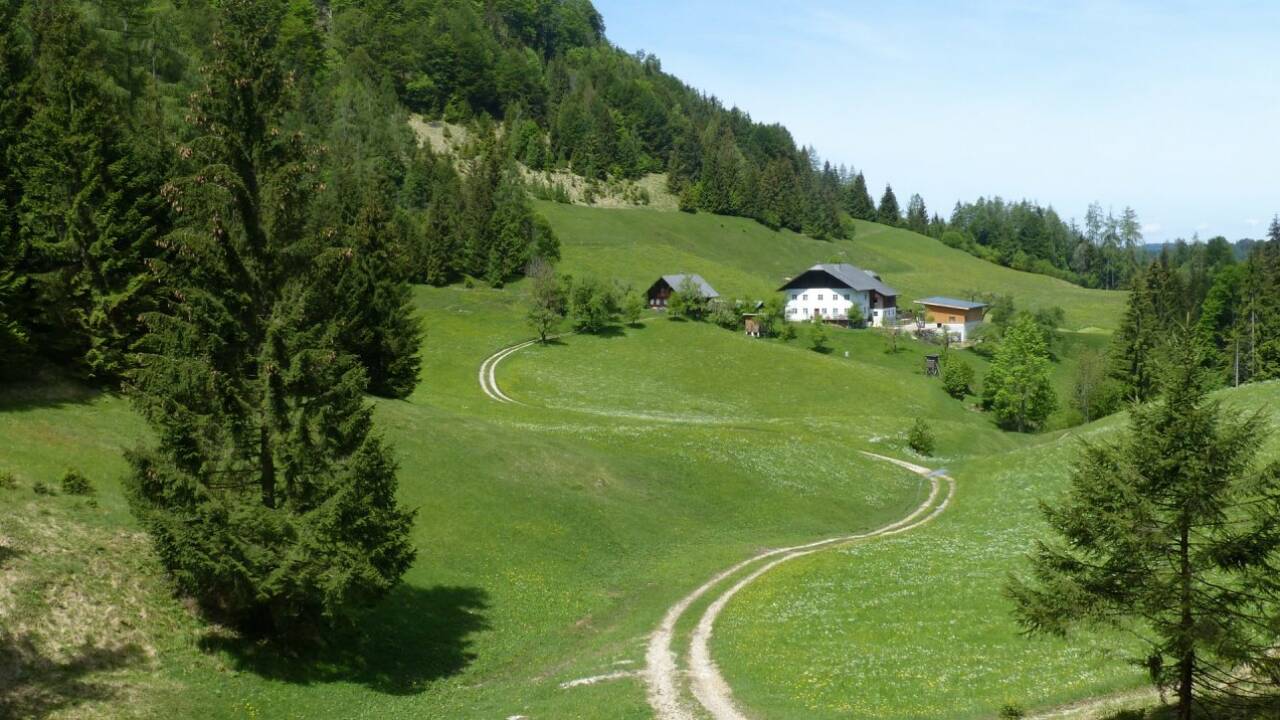 Licht und Schatten am Strumberg Licht und Schatten am Strumberg