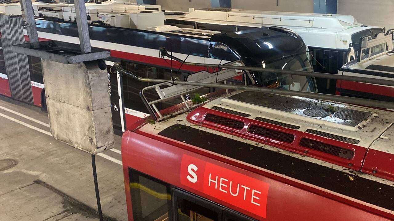 Der Baum dürfte nur knapp die Windschutzscheibe des Obusses verfehlt haben. 