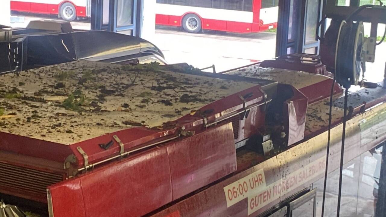 Der Baum dürfte nur knapp die Windschutzscheibe des Obusses verfehlt haben. 