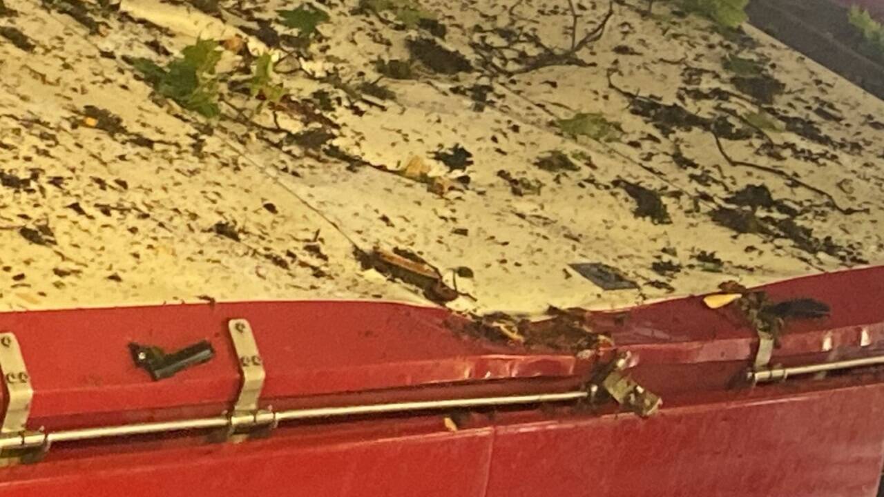 Der Baum dürfte nur knapp die Windschutzscheibe des Obusses verfehlt haben. 