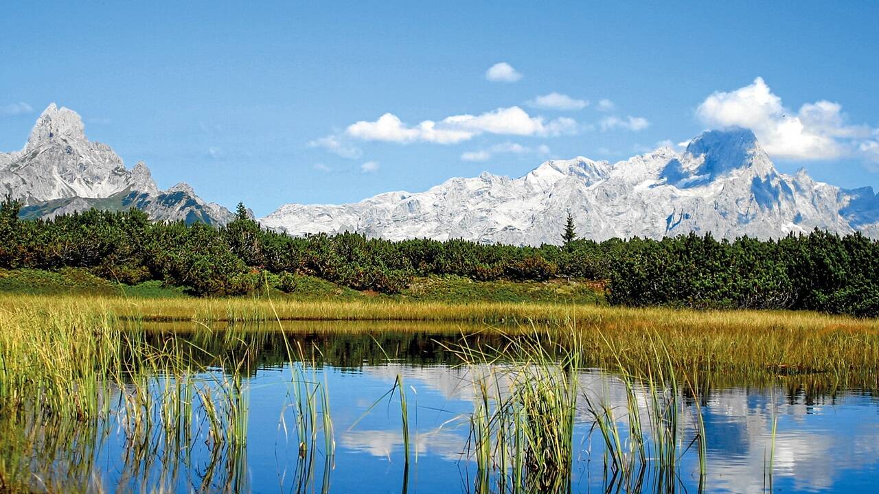 Die Schwarze Lacke am Gerzkopf, ein herrliches Ausflugsziel und Natura-2000-Gebiet in den Fritztaler Bergen. 