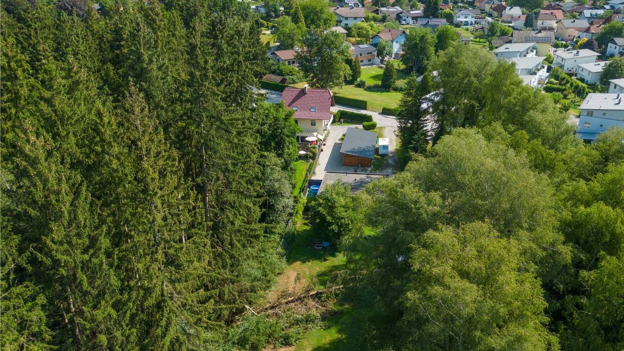 Siedlungsgebiet im Wald 
