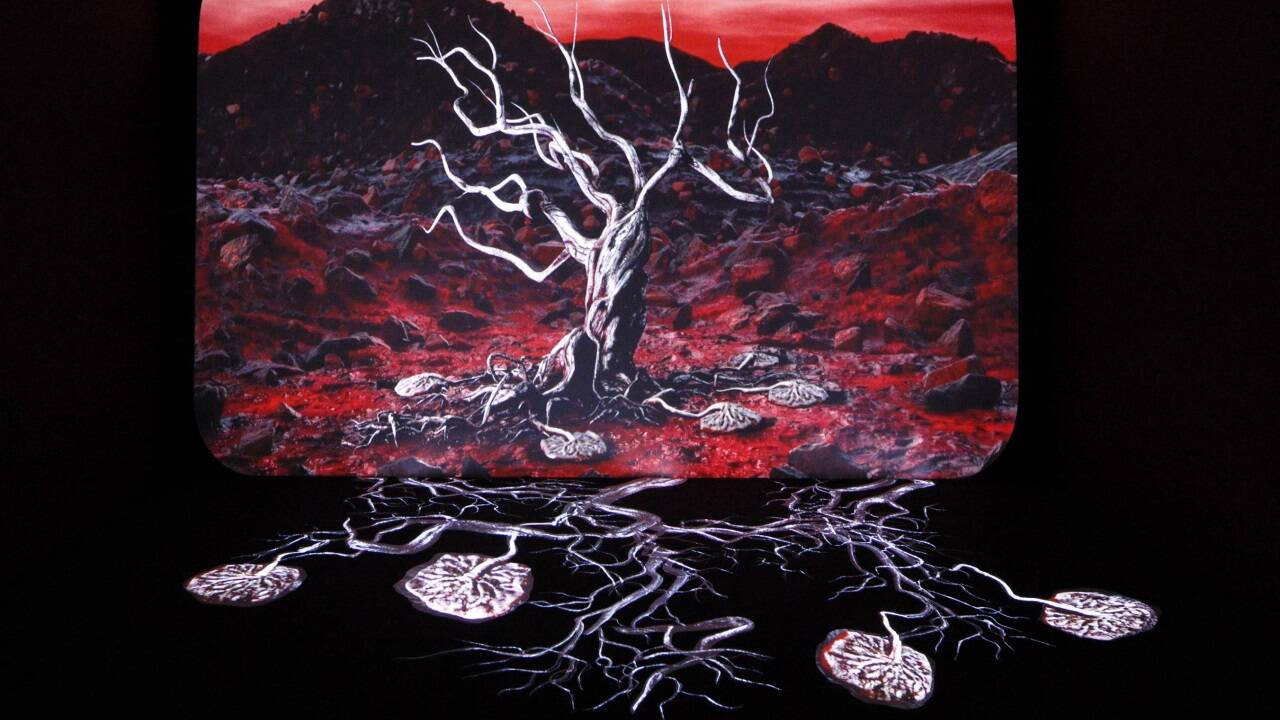 „The Song of the Bleeding Tree“, Video- und Klanginstallation von Aideen Barry, 2023 