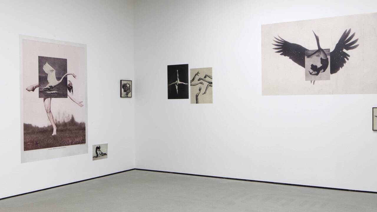 Ausstellungsansicht „Arch of Hysteria“  Ausstellungsansicht „Arch of Hysteria“