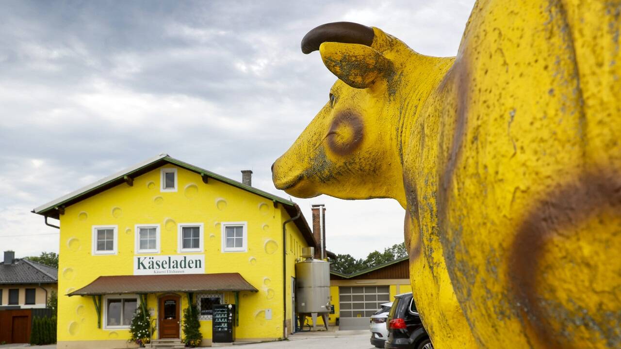 Wie wird es mit der Käserei und dem Laden in Elixhausen weitergehen? Die Genossenschaft steht vor einer wichtigen Entscheidung. 