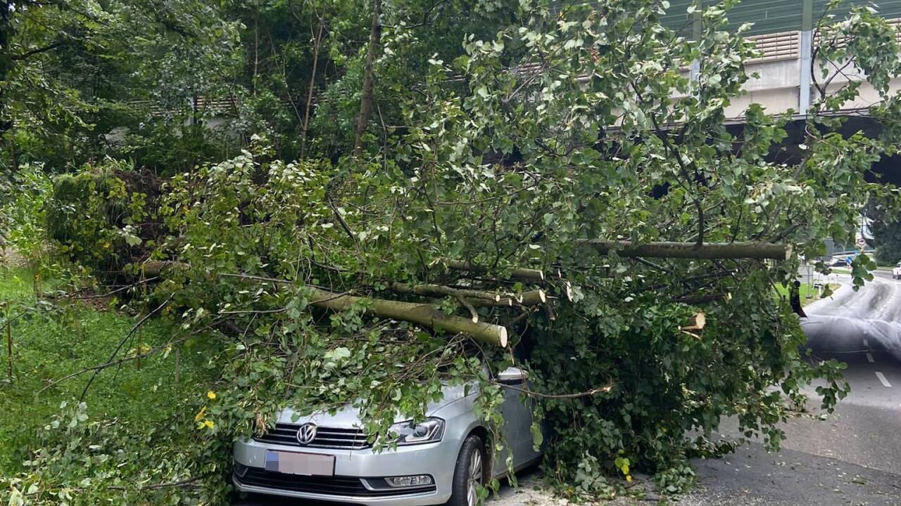 In Kufstein stürzten Bäume auf ein geparktes Auto. 