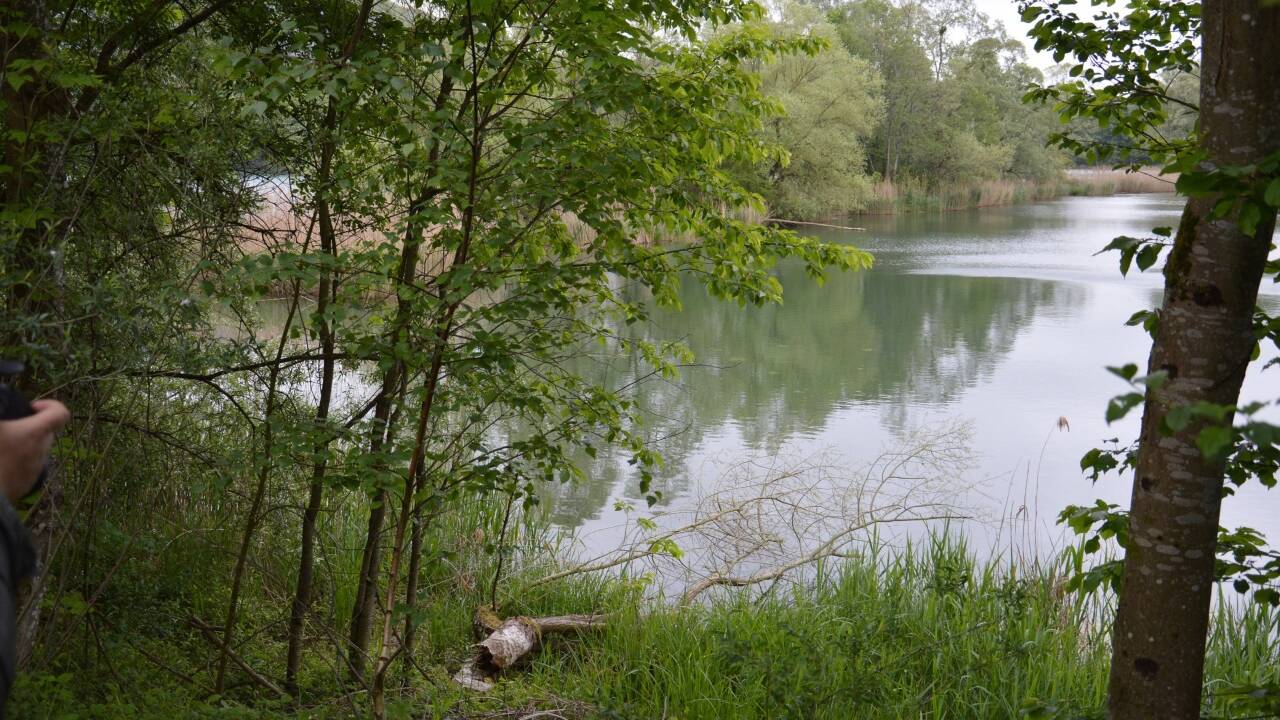 Der Ausee am Areal wurde bisher von Fischern bewirtschaftet. Das soll beendet werden. Außerdem soll das Ufer abgeflacht werden, um das Wachsen eines Schilfgürtels zu ermöglichen.  