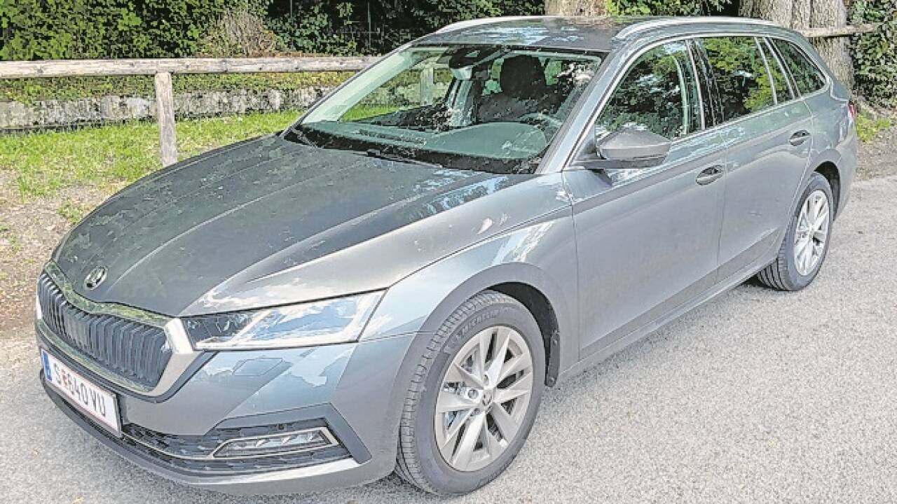 Tadelloses Alltagsfahrzeug: Octavia. 