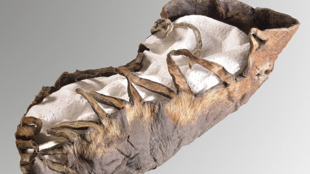 Der Lederschuh wurde in einer der Ablagerungsschichten gefunden. 