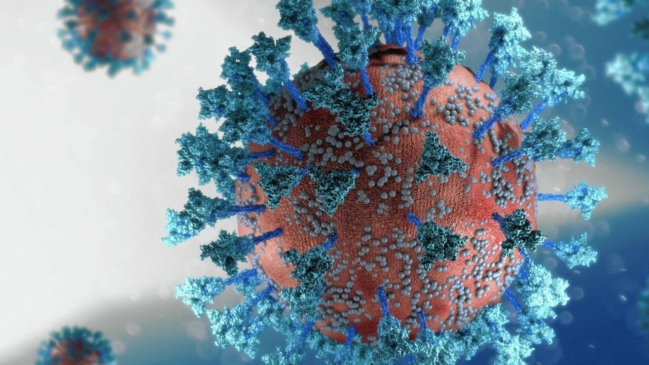 Corona-Variante: Eris ist der Spitzname für EG.5 und ähnelt der XBB.1.5 Variante, einer Subvariante der immer noch dominierenden Omikronvariante.  