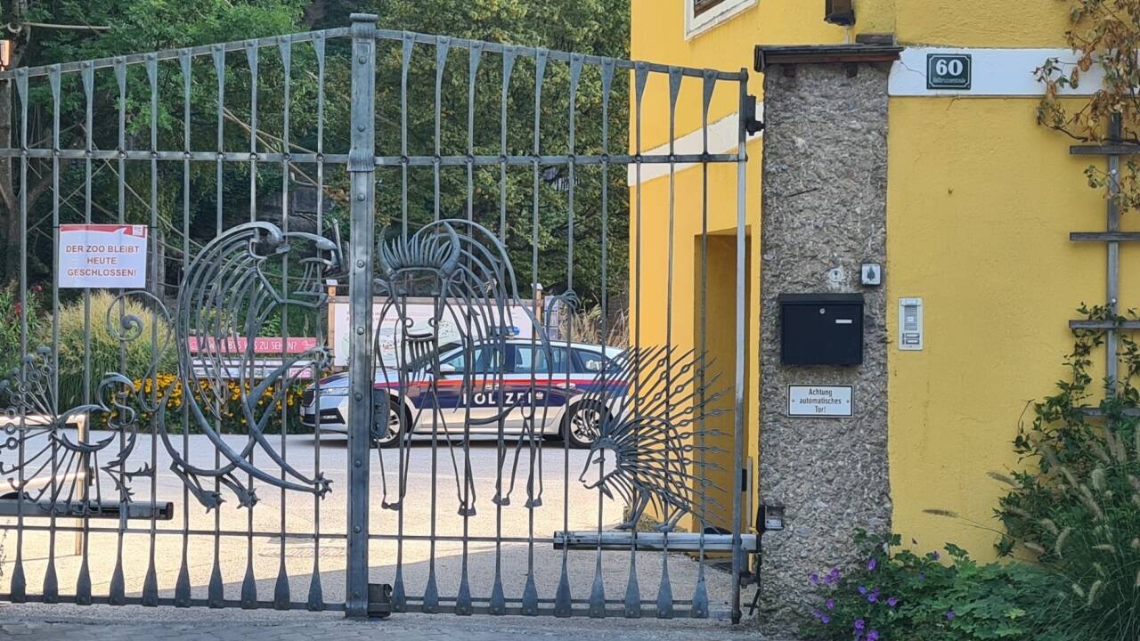 Tödlicher Unfall in der Nashornanlage im Zoo Salzburg. 