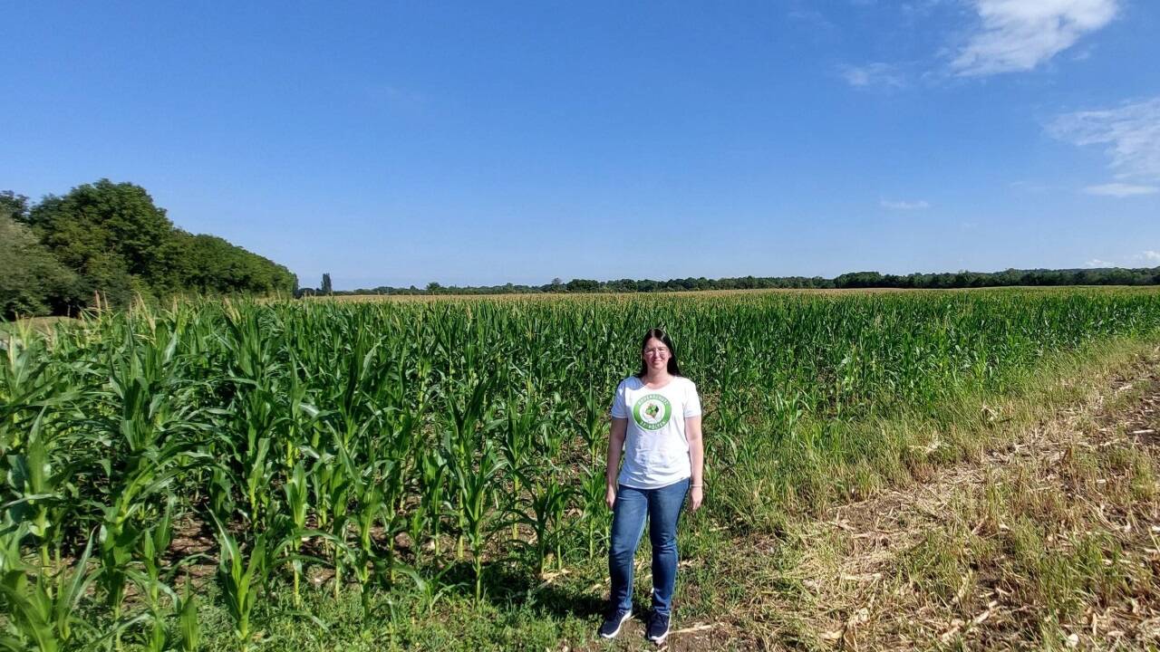 Romana Drexler kämpft um diesen Acker. Auf ihm soll ein Lager des Rewe-Konzerns gebaut werden. Romana Drexler kämpft um diesen Acker. Auf ihm soll ein Lager des Rewe-Konzerns gebaut werden.