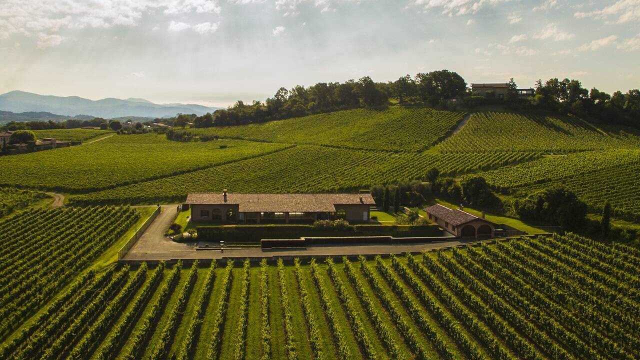 Weingut Ronco Calino 