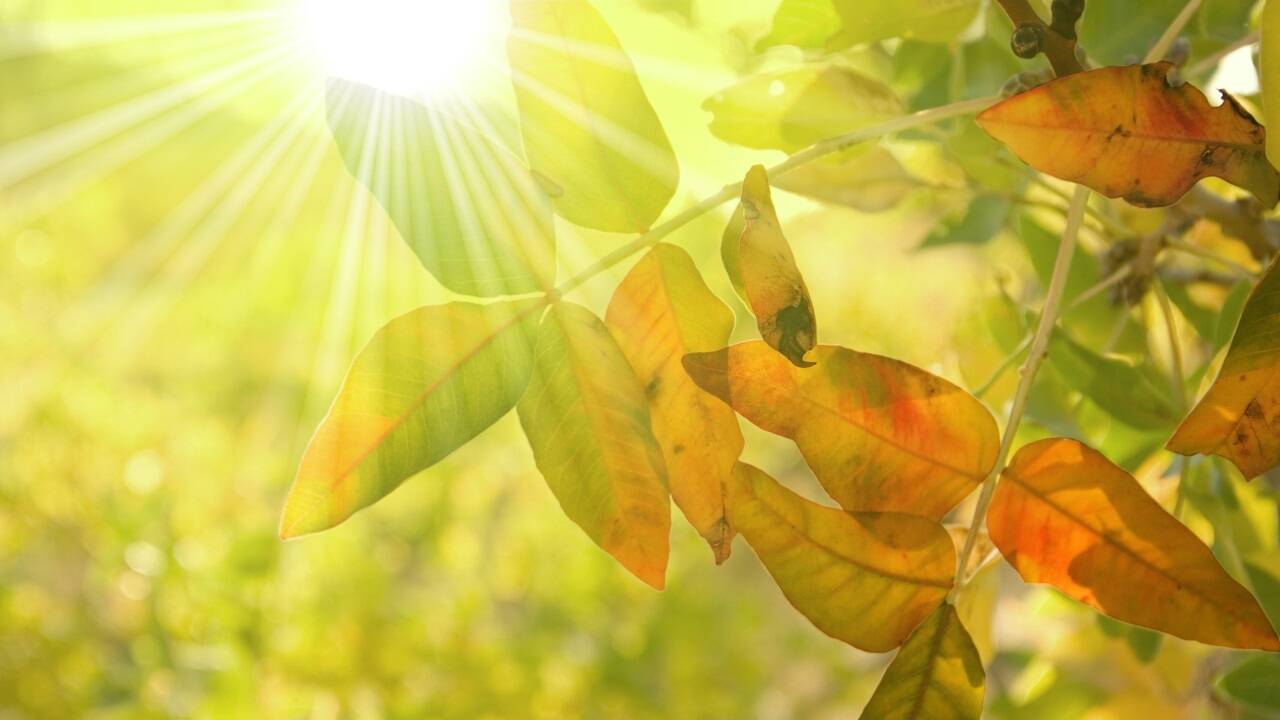 Das spätsommerliche Wetter hält weiter an.  