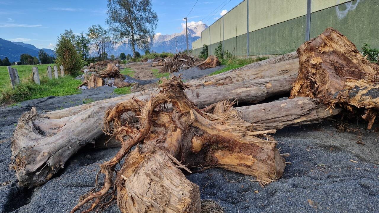 Das neu angelegte Eidechsen-Siedlungsgebiet neben der Bahnstrecke im Ortsteil Unterreit.  
