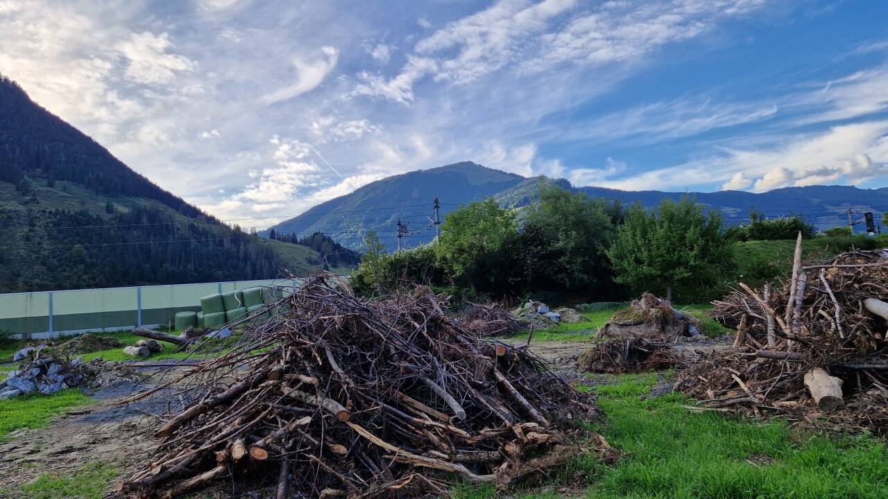 Die neuen tierischen Lebensräume im Bereich des Prielauweges neben den Schrebergärten.  