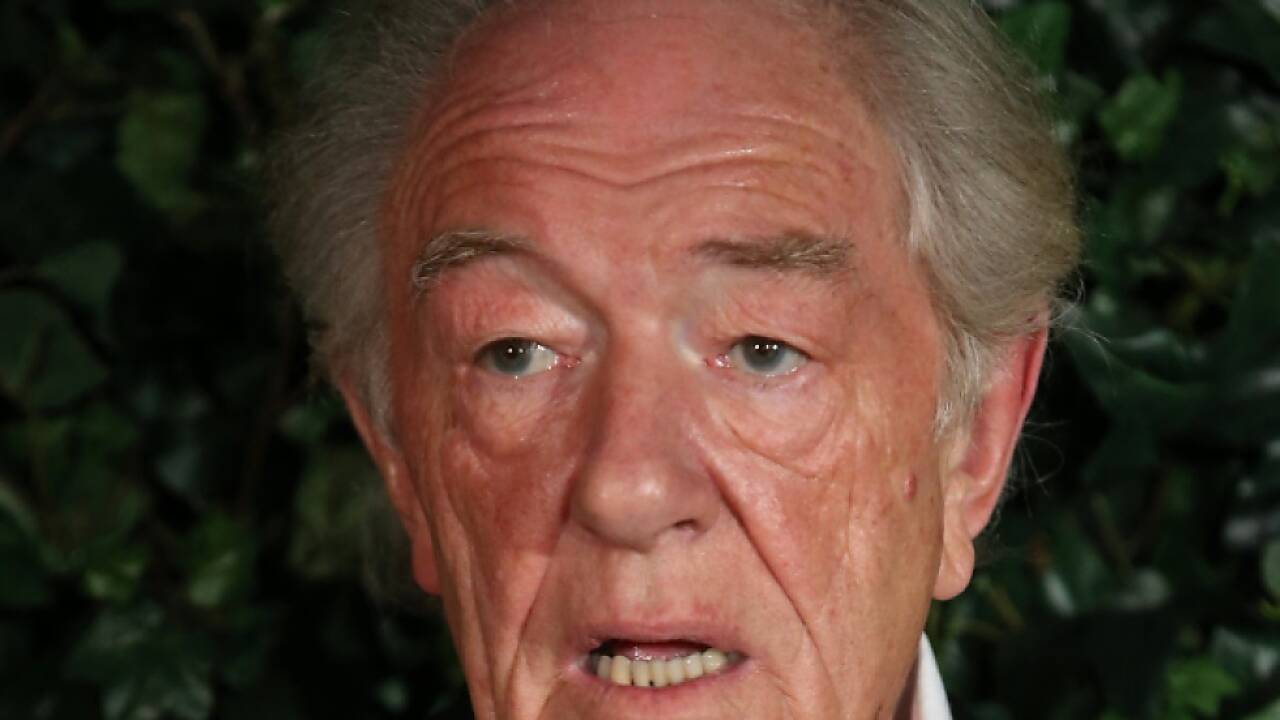 Michael Gambon wurde durch 'Harry Potter' breitem Publikum bekannt 