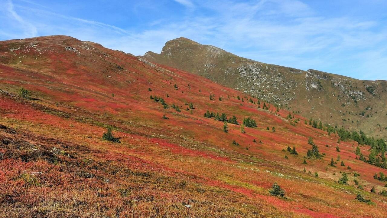 Die Tour auf das Kareck im Lungau, mit herbstlich verfärbtem Laub. 