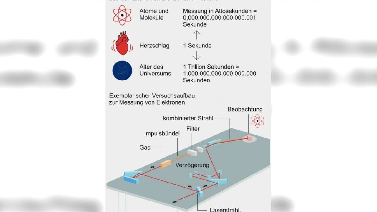 Die Grundzüge des Fachgebiets von Ferenc Krausz, ... 