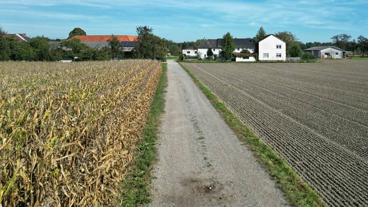 Der angeleinte Hund fiel auf einem Güterweg eine Joggerin an 