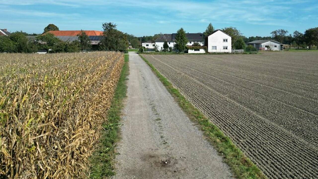 Auf dem Feldweg tötete ein Hund eine Joggerin 